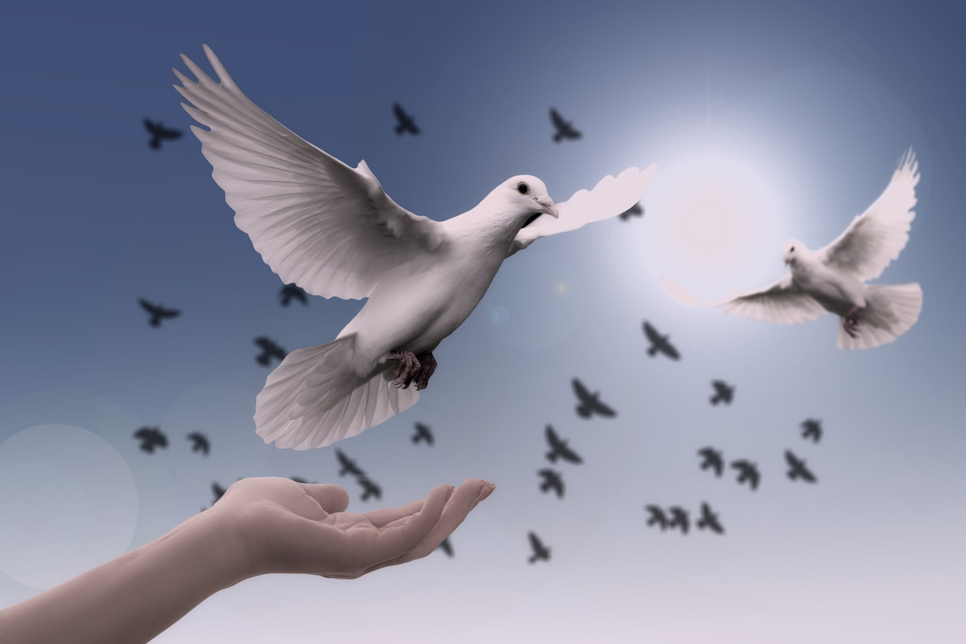 Der Soft-Peace-Ansatz – Frieden durch Vertrauen, Austausch und Kooperation